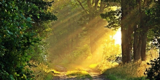 � ����������� ������� ��������� ���������� ������ �� ��������