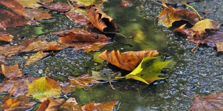 ���������� ������������ � ������� ����� � �����