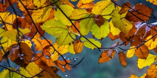 � ����������� ������� ��� ������ ��������� ��������� ������