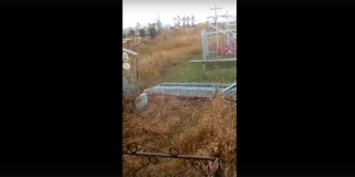 В Саратовском районе вандалы массово похищают ограды на кладбище