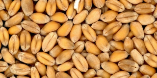 ����������� ������� ������� 410 ��� ������ � ������ ��������� ��������