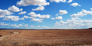 Прокуратура вернула Ровенскому району незаконно занятую фермером землю Прокуратура вернула Ровенскому району незаконно занятую фермером землю