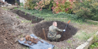 ��� ��������� ������� �������� ������������ ������