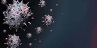 ����������. � ����������� ������� ������� ��� 363 ������� �������������