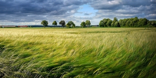 ������� ����������� ������� ������������ �� �������� �����