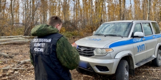 В Новобурасском районе упавшая ветка убила лесоруба