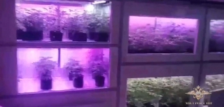 � �������� ������� ����� ��������� ��������� �������