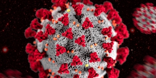 Число новых случаев коронавируса в Саратовской области за сутки достигло 411 Число новых случаев коронавируса в Саратовской области за сутки достигло 411