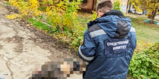 �� �������� �������� ��������� �� ���� ����� ����