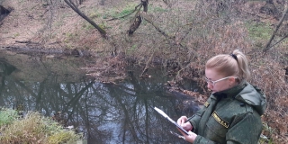 � ���������� ���� ����������� 6 ����� �������� � ����