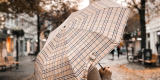 ������� ����������� ������� ������� ������� ����� � �����