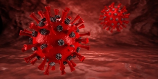 За сутки в Саратовской области прибавилось еще 533 зараженных коронавирусом За сутки в Саратовской области прибавилось еще 533 зараженных коронавирусом