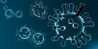 � ������ �� ������������ ���������� ����� 240 ����� �������