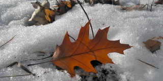 � ����������� ������� ��������� ��������� � �������� ����� �� 20 �/�