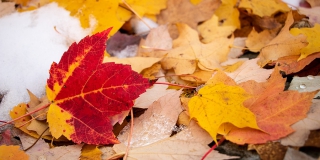 ���������� ������� �������� ����, � � �������� � ����� �� ������