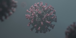 В Саратовской области прибавилось 636 пациентов с COVID. Всего – более 113 тысяч В Саратовской области прибавилось 636 пациентов с COVID. Всего – более 113 тысяч