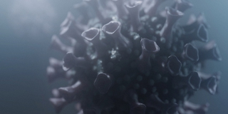 В Саратовской области за сутки коронавирус стал причиной смерти 22 человек В Саратовской области за сутки коронавирус стал причиной смерти 22 человек