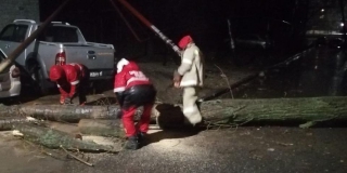 В Саратове устраняют последствия стихии: крыша упала на машины, рухнули деревья