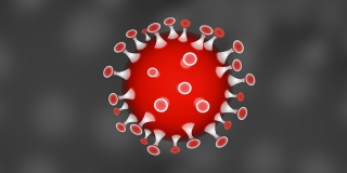 Жительница Саратовской области умерла от COVID в 28 лет. Всего за сутки – 13 Жительница Саратовской области умерла от COVID в 28 лет. Всего за сутки – 13