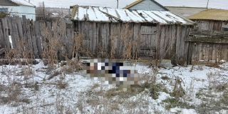 ��� ������� ����������� ����� �� ������ ����� ���� ���� ���������� �������