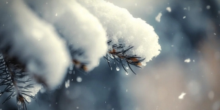 ����������� ������� ������� ������� ��������