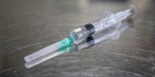 Саратовский губернатор поручил срочно начать вакцинацию животных от ящура