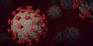 За сутки в Саратовской области коронавирус обнаружили у 172 человек