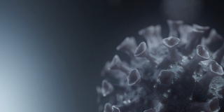 В Саратовской области 12 человек скончалось от коронавируса за сутки В Саратовской области 12 человек скончалось от коронавируса за сутки