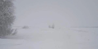 Снегопад. В соцсети рассказали об отрезанной от мира деревне в Лысогорском районе