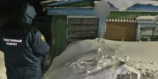 � ������������ ���������� ���� ������� � �������� �� �������