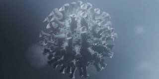 В Саратовской области за сутки 10 человек скончалось от COVID В Саратовской области за сутки 10 человек скончалось от COVID