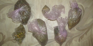 В Саратове полицейские по цепочке выявили наркодилера с 4 кг марихуаны