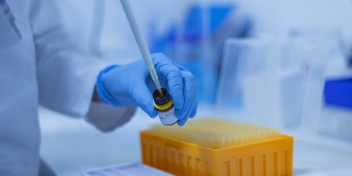 В Саратовской области за сутки резко выросло число больных с коронавирусом. Плюс 2817 В Саратовской области за сутки резко выросло число больных с коронавирусом. Плюс 2817