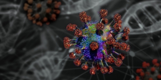 В Саратовской области от коронавируса умерло еще 4 женщины и 3 мужчин В Саратовской области от коронавируса умерло еще 4 женщины и 3 мужчин