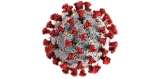 � ����������� ������� �������������� COVID ��������� �� 1081 ������ � �����