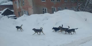 ���������� �������� � �������� � �������� ���� �������� ���� �����