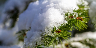 Снегопады. В Саратове за зимний период выпало 255% нормы осадков
