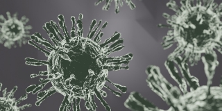 � ����������� ������� �� COVID ���������� ��� 6 �������