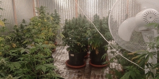 � ������� � ������ �������� ���������� ����������� �������