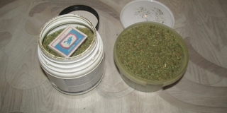 В Саратове будут судить изготовителей и распространителей марихуаны