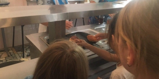 ������� � ������� �������� ������� 200 ��� ������ �� ����������� ��������� � ������