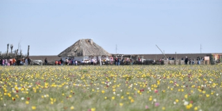В Новоузенском районе отпраздновали фестиваль тюльпанов