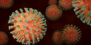 В Саратовской области третий день подряд не зафиксировано смертей от коронавируса