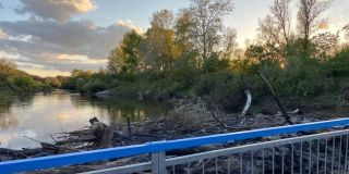 В Лысогорском районе заявили об угрозе экологической катастрофы