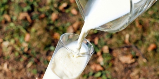 Марксовский район лидирует по производству молока в Саратовской области