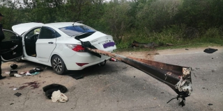 � �������-������������� ������ �������� �������� �� �������� ����������