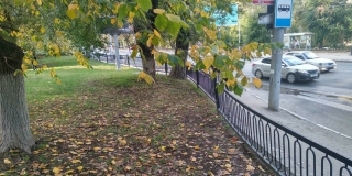 ��������� ������� ����� �� ��������� 50 ��� ������� ��� ��������������� � 2023 ����