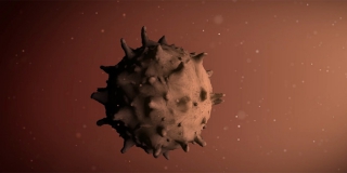 Коронавирус унес жизнь 86-летней саратовчанки Коронавирус унес жизнь 86-летней саратовчанки