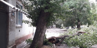 В Октябрьском районе дом остался без света из-за упавшего дерева
