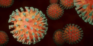 За сутки в Саратовской области никто не умер от коронавируса